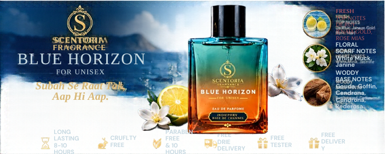 Blue Horizon Banner